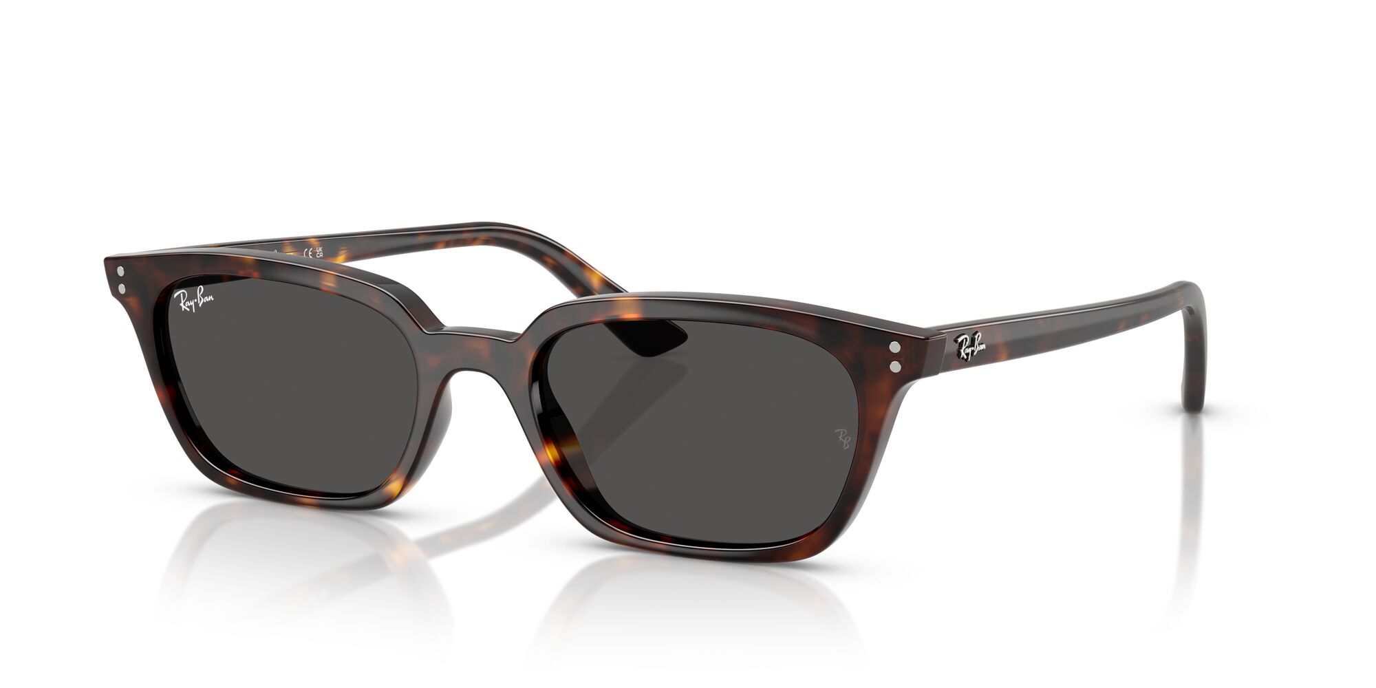 RB4456 ZAYA-030A